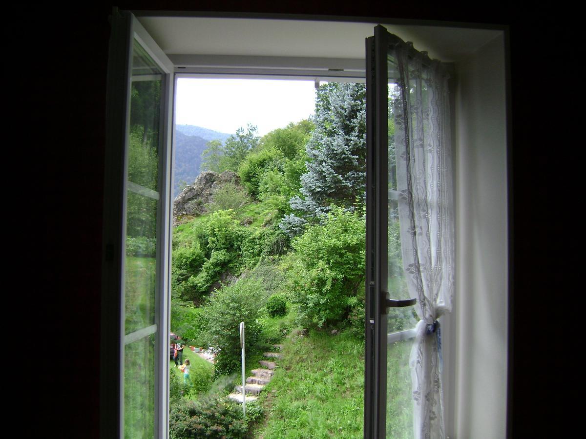 Bed and Breakfast Les Volets Bleus Alsace Vosges Urbès Exterior foto