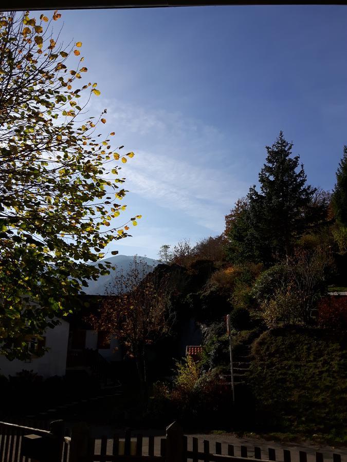 Bed and Breakfast Les Volets Bleus Alsace Vosges Urbès Exterior foto